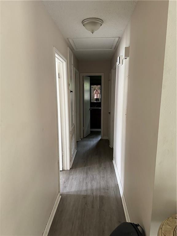 corridor featuring dark hardwood / wood-style floors