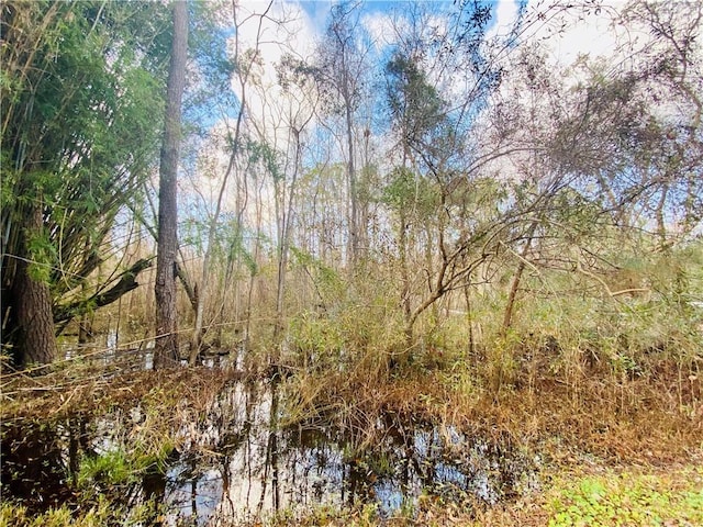 Listing photo 2 for LOT10 Indian Mound Ln, Slidell LA 70461