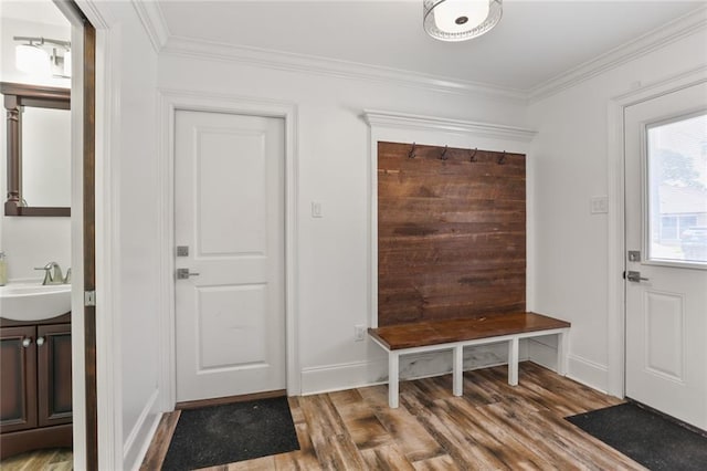 mudroom featuring ornamental molding, wood finished floors, a sink, and baseboards