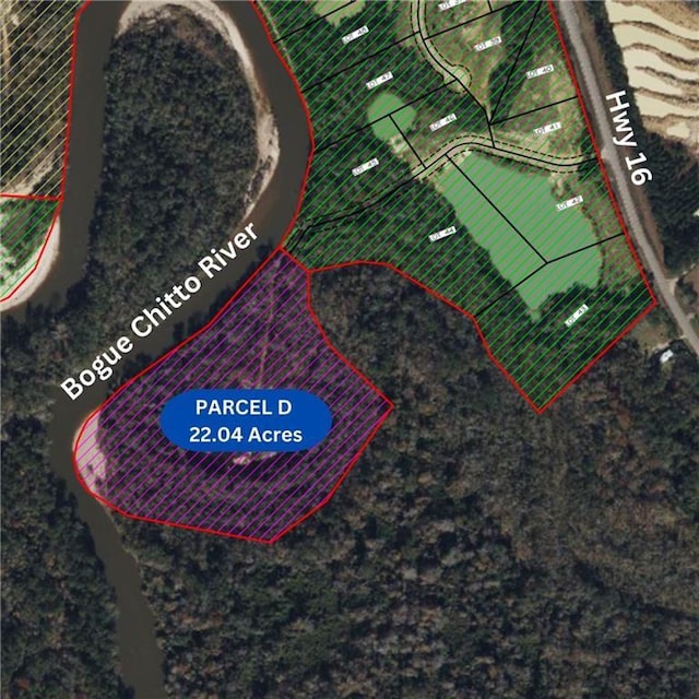 PARCELD,17309 Highway 16, Franklinton, LA 70438 - photo 3