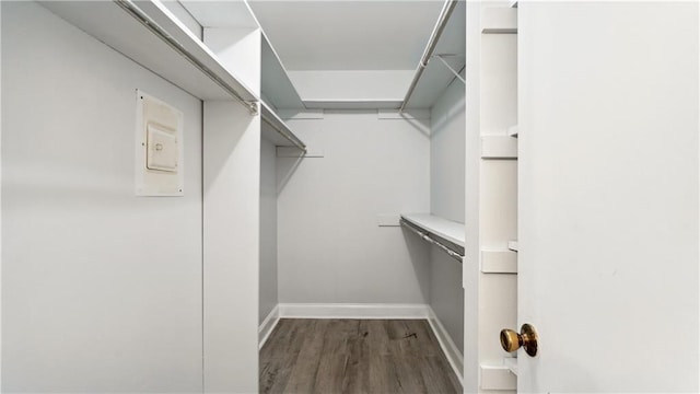 walk in closet featuring dark wood-type flooring