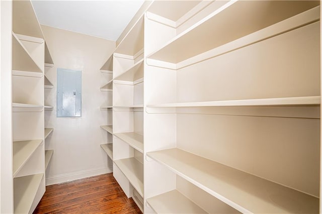 spacious closet with dark hardwood / wood-style floors and electric panel