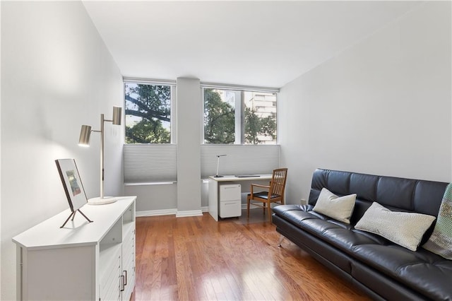 living room with hardwood / wood-style flooring