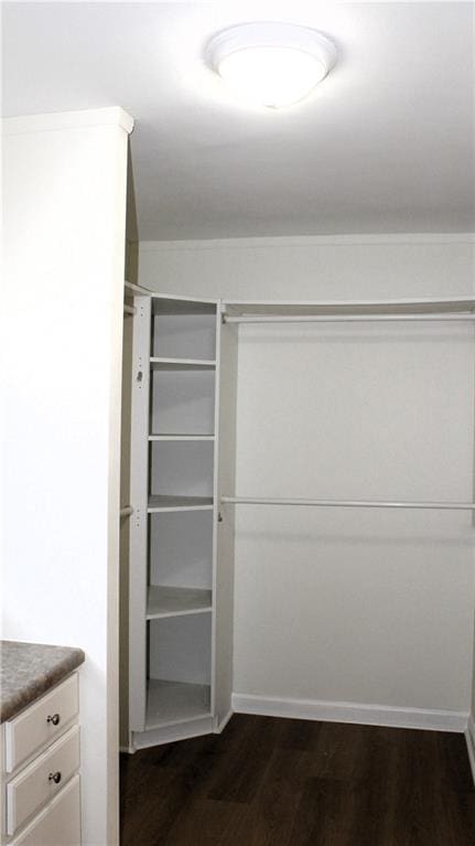 spacious closet featuring dark hardwood / wood-style floors