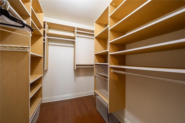 walk in closet featuring dark wood-type flooring