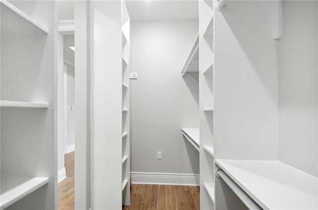 spacious closet featuring light wood finished floors