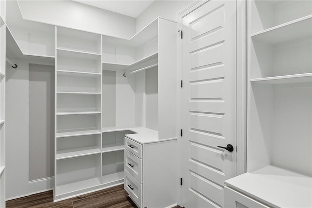 spacious closet featuring dark hardwood / wood-style floors