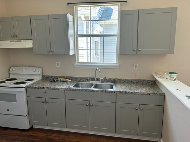201214 Congress St, New Orleans, LA 70117 - kitchen with under cabinet range hood, a sink, a healthy amount of sunlight, and electric range
