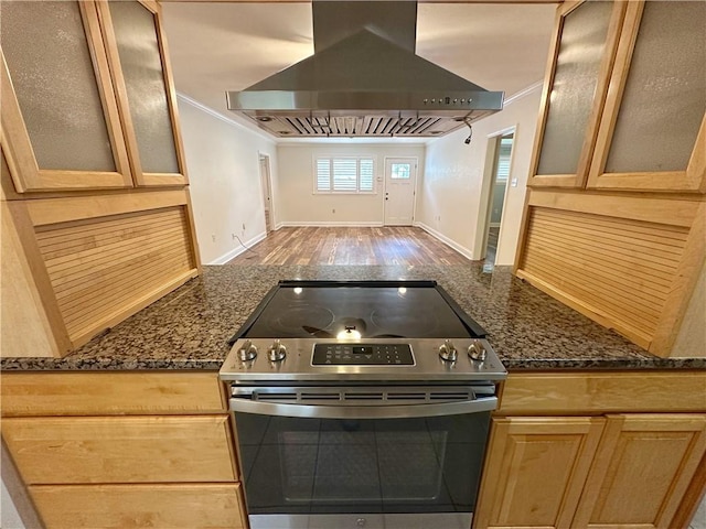 kitchen featuring hardwood / wood-style floors, crown molding, island exhaust hood, and electric stove