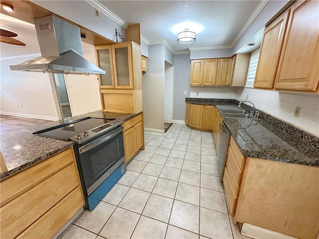 kitchen with backsplash, sink, ornamental molding, appliances with stainless steel finishes, and island range hood