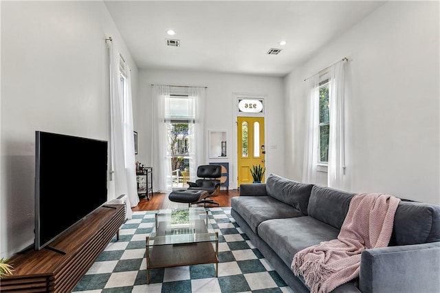 living room with hardwood / wood-style flooring and a healthy amount of sunlight