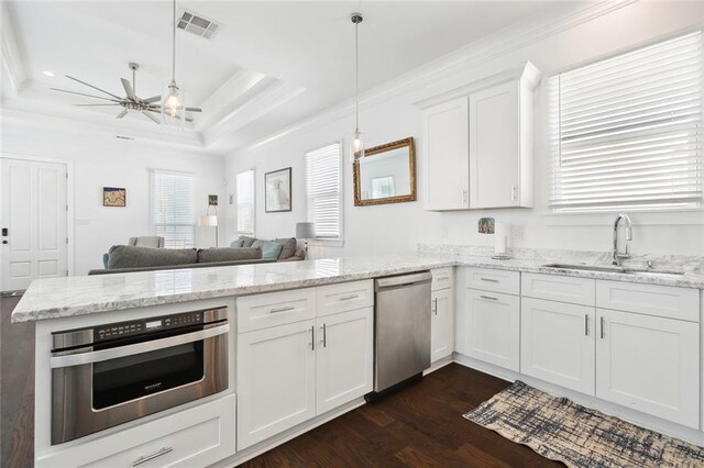 kitchen with a raised ceiling, dark hardwood / wood-style floors, white cabinets, appliances with stainless steel finishes, and sink