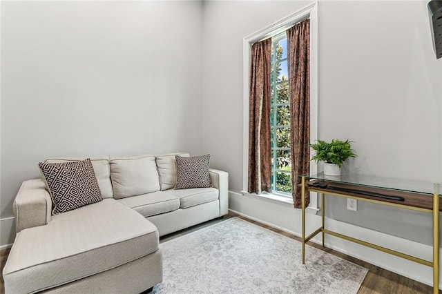 living room featuring hardwood / wood-style floors