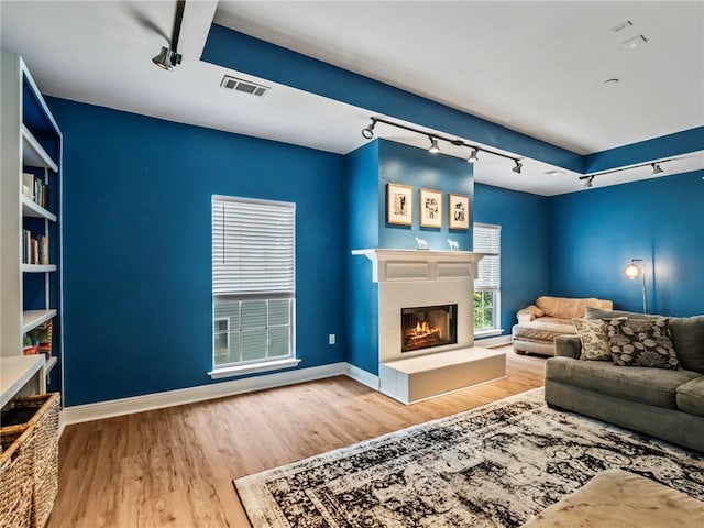 living room with wood-type flooring and rail lighting