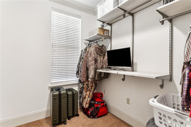 spacious closet featuring light carpet