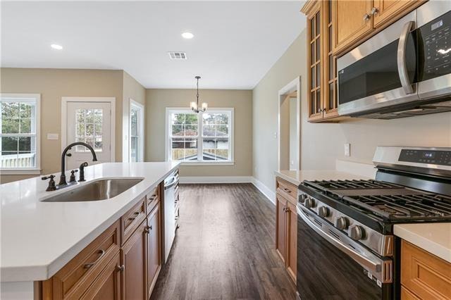 kitchen with appliances with stainless steel finishes, dark hardwood / wood-style floors, sink, pendant lighting, and a notable chandelier