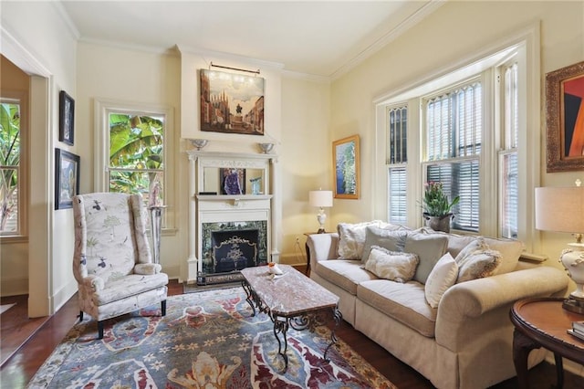 living room featuring dark wood-type flooring, a premium fireplace, plenty of natural light, and ornamental molding