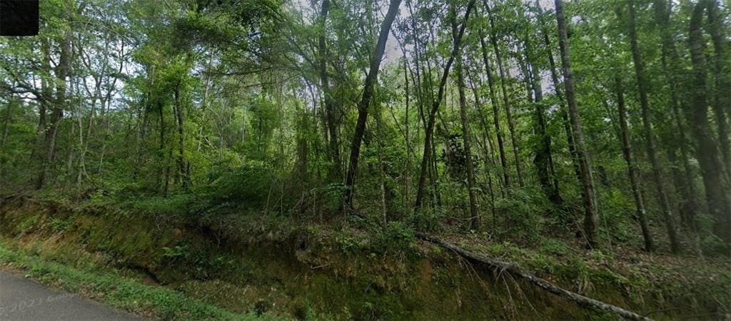 Old Uneedus Rd, Loranger, LA 70446
