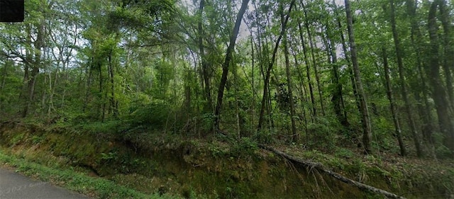 Old Uneedus Rd, Loranger, LA 70446