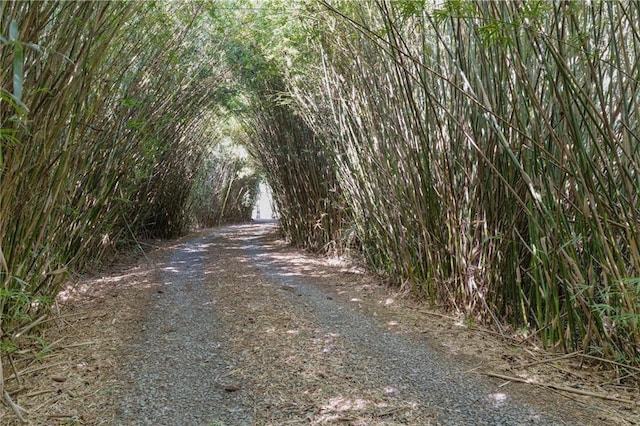 view of road