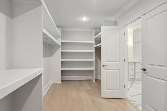 spacious closet with light wood-type flooring