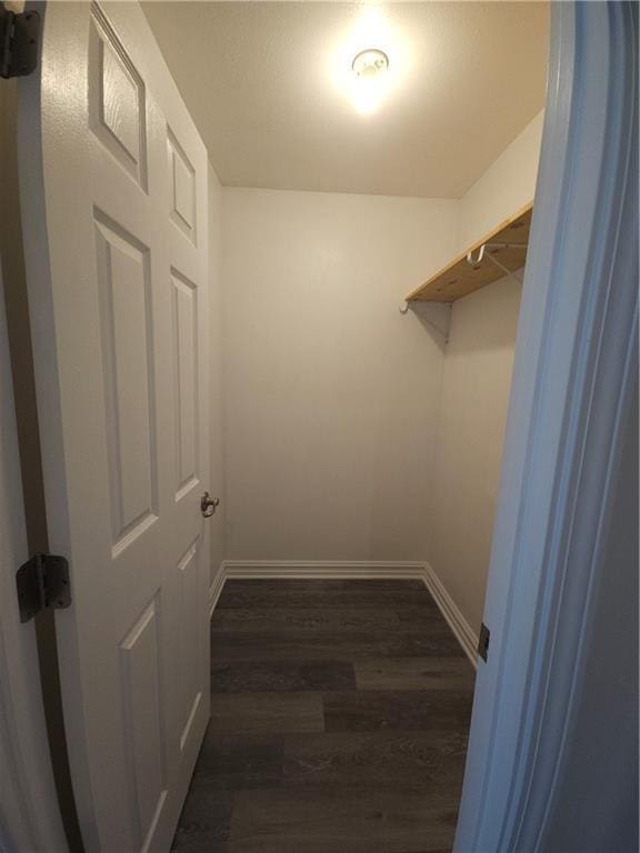 walk in closet with dark hardwood / wood-style flooring