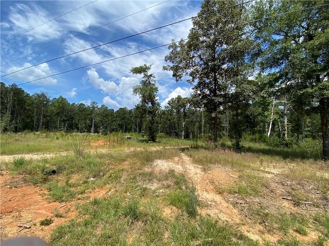 63069 Pine Meadow Dr, Amite LA, 70422 land for sale