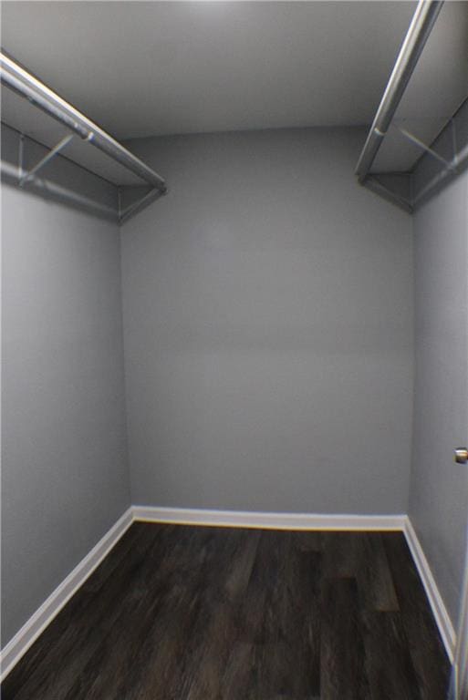 spacious closet with dark hardwood / wood-style flooring