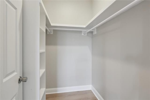 walk in closet with light wood-type flooring