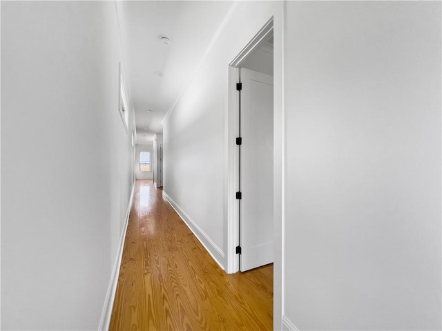 corridor featuring light wood-type flooring