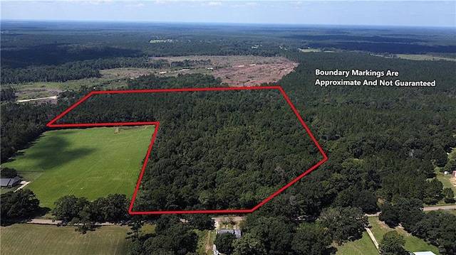 Listing photo 2 for 38ACRES Seven Mile Rd, Franklinton LA 70438