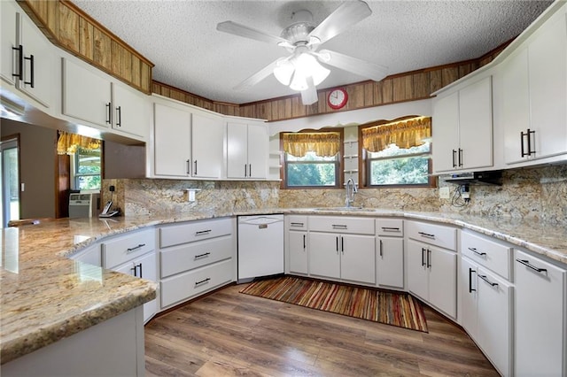 kitchen with dishwasher, plenty of natural light, and wood-type flooring