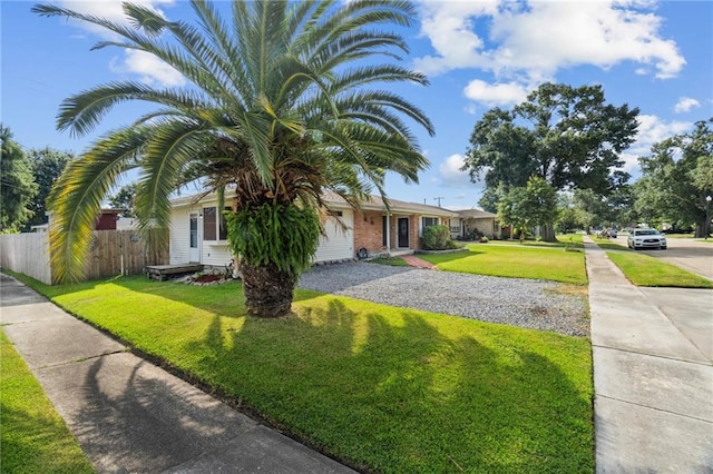 ranch-style house with a front yard