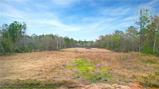 S Coburn Rd, Hammond LA, 70401 land for sale