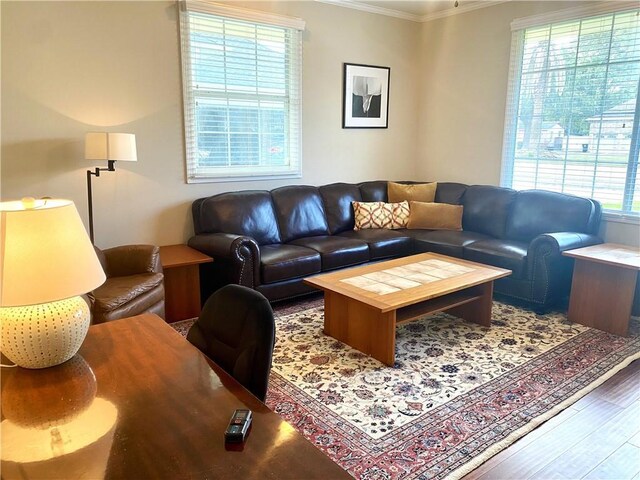 living room with ornamental molding, wood-type flooring, and a healthy amount of sunlight