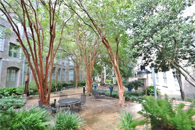 view of yard with a patio area