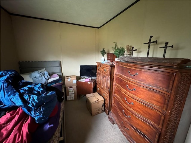 bedroom featuring carpet floors