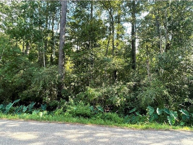 Mire Dr, Abita Springs LA, 70420 land for sale