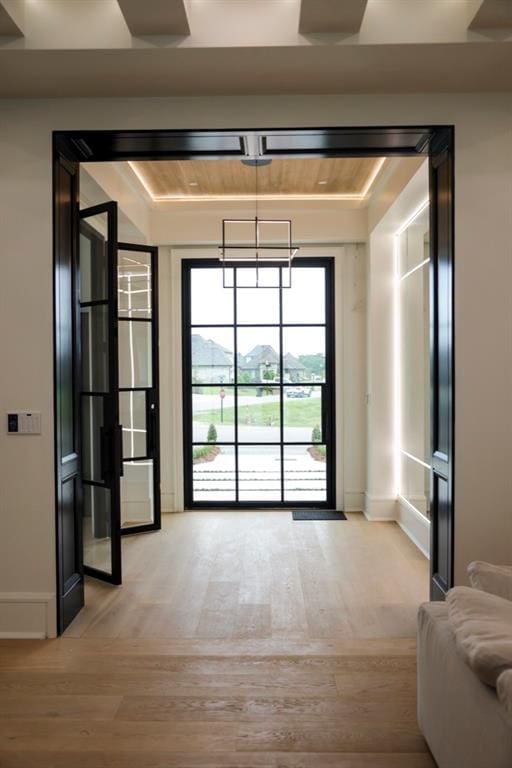 entryway featuring light wood-type flooring and a raised ceiling