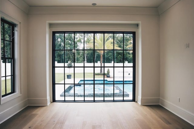 entryway featuring wood-type flooring