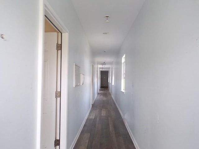 corridor featuring dark hardwood / wood-style flooring