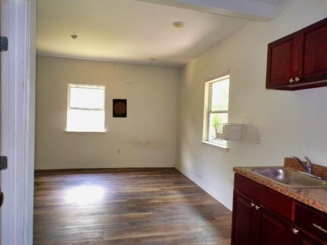 interior space with dark wood-type flooring and sink