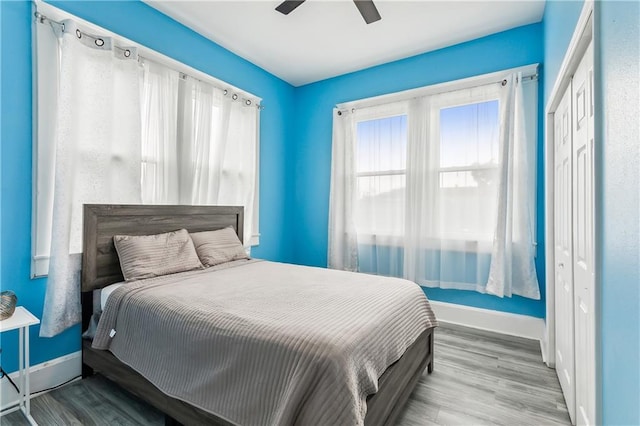 bedroom featuring ceiling fan, a closet, wood-type flooring, and multiple windows