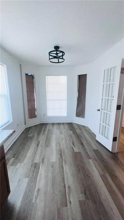 interior space featuring wood-type flooring and french doors