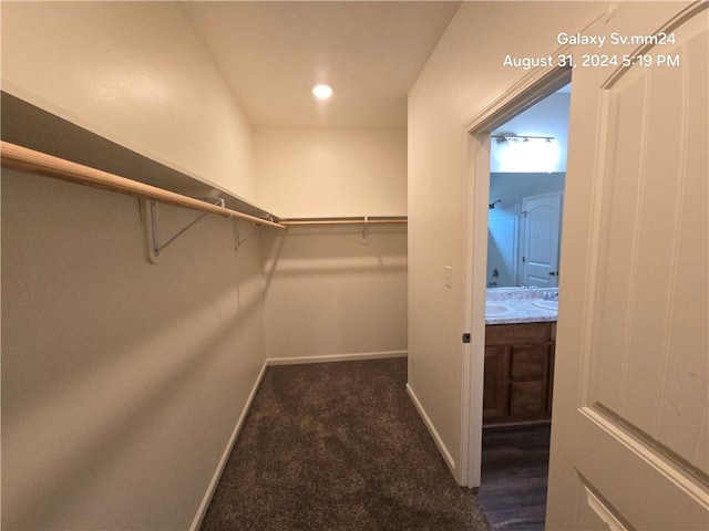 walk in closet featuring dark colored carpet