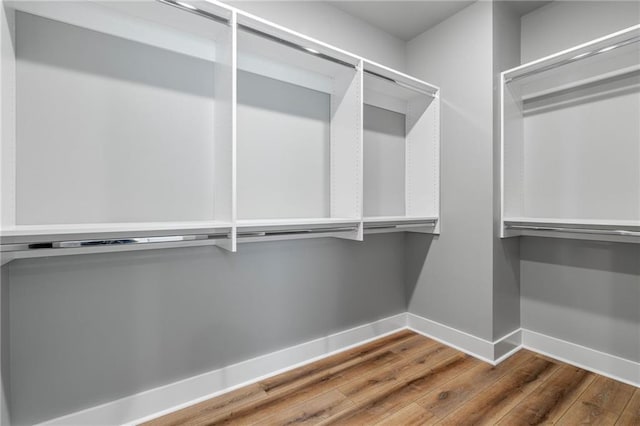 walk in closet with wood-type flooring