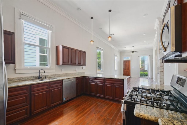 kitchen with appliances with stainless steel finishes, a healthy amount of sunlight, sink, and dark hardwood / wood-style floors