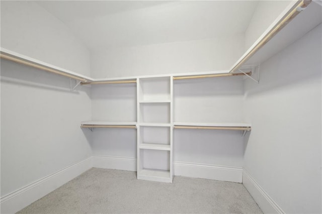 walk in closet featuring carpet flooring