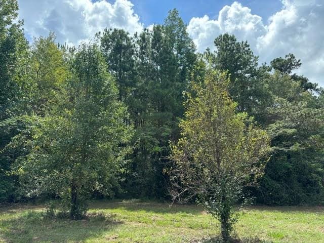 32400 Tom Warner Rd, Franklinton LA, 70438 land for sale