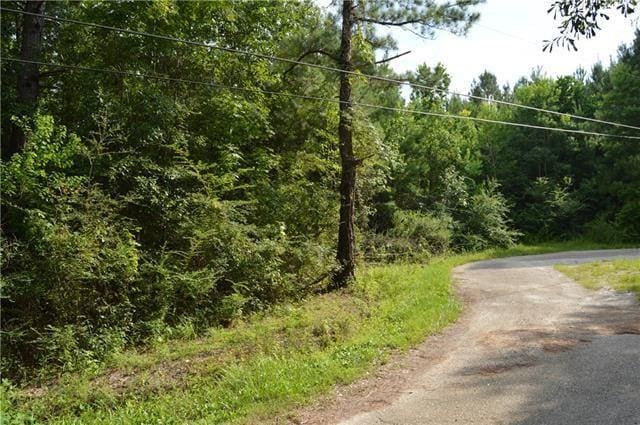 Will Rd, Abita Springs, LA 70420 - photo 2